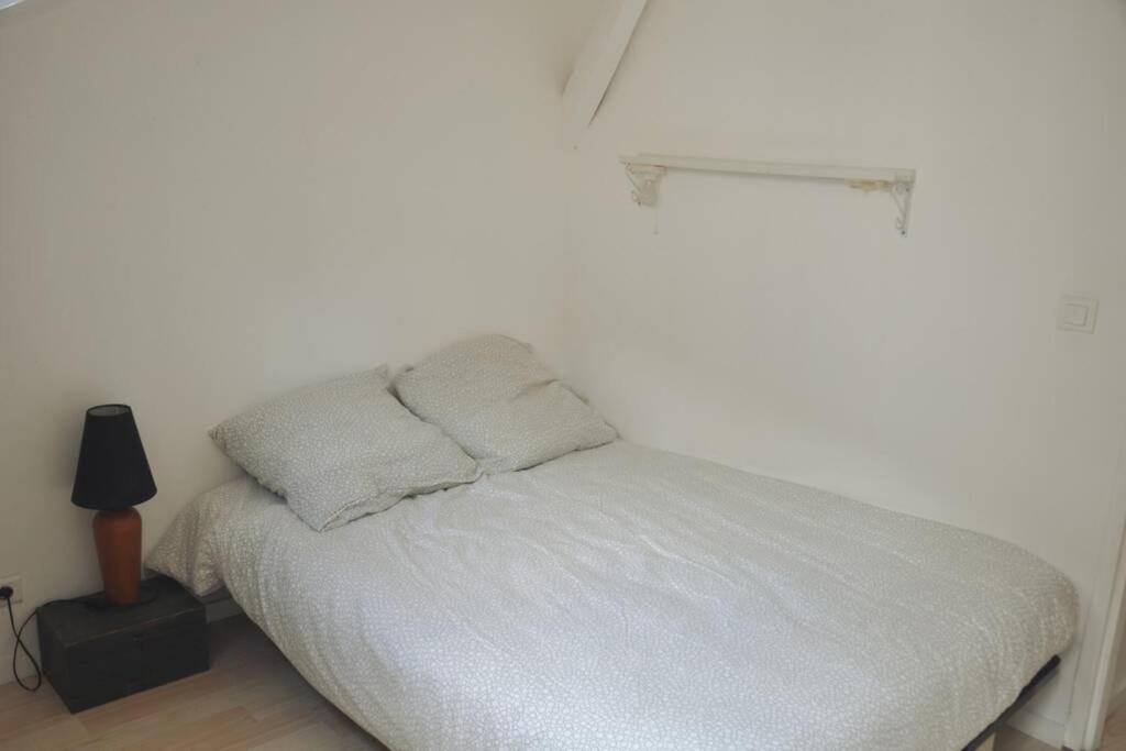 Duplex Avec Belle Terasse Au Centre De Bayonne Lägenhet Exteriör bild